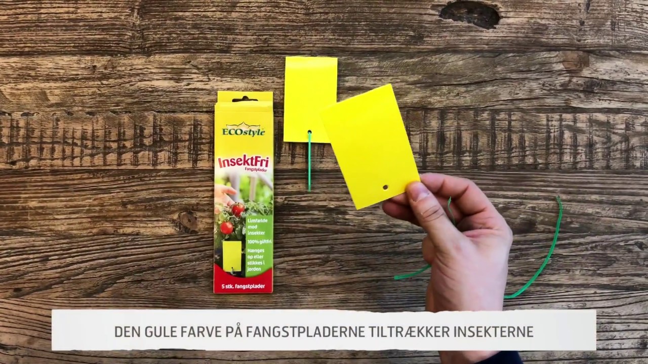 ECOstyle InsektFri fangstplader