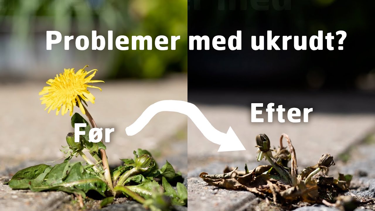 ECOstyle UkrudtsFri klar til brug 01