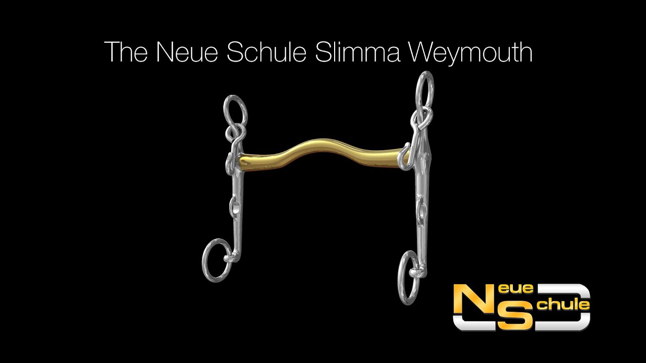 01 V K7140569 01 neue schule slimma weymouth kandarstang