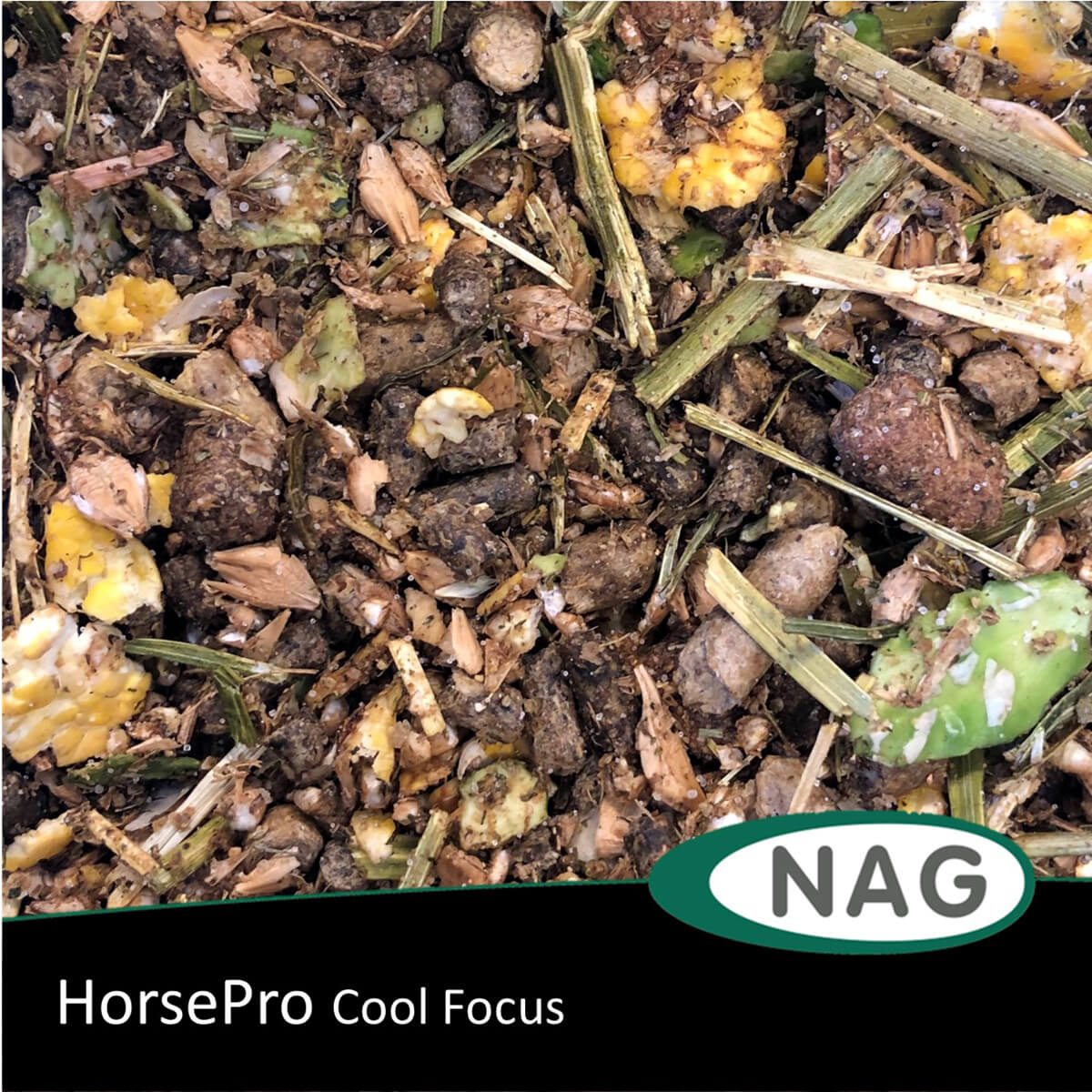 horsepro Cool Focus 1223264 01