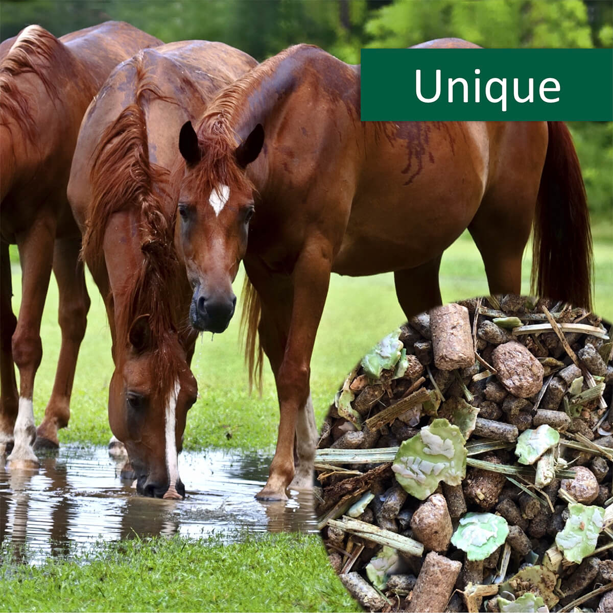 Horsepro Unique 1223266 01