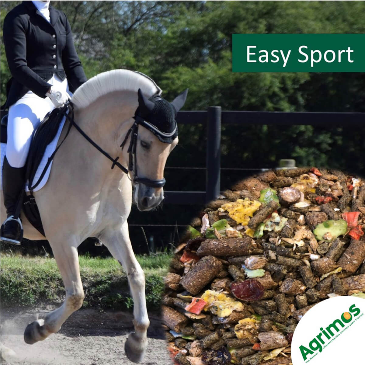 horsepro Easy Sport 01