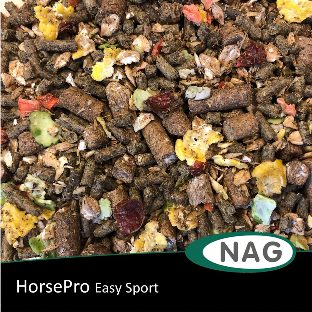 horsepro Easy Sport 01