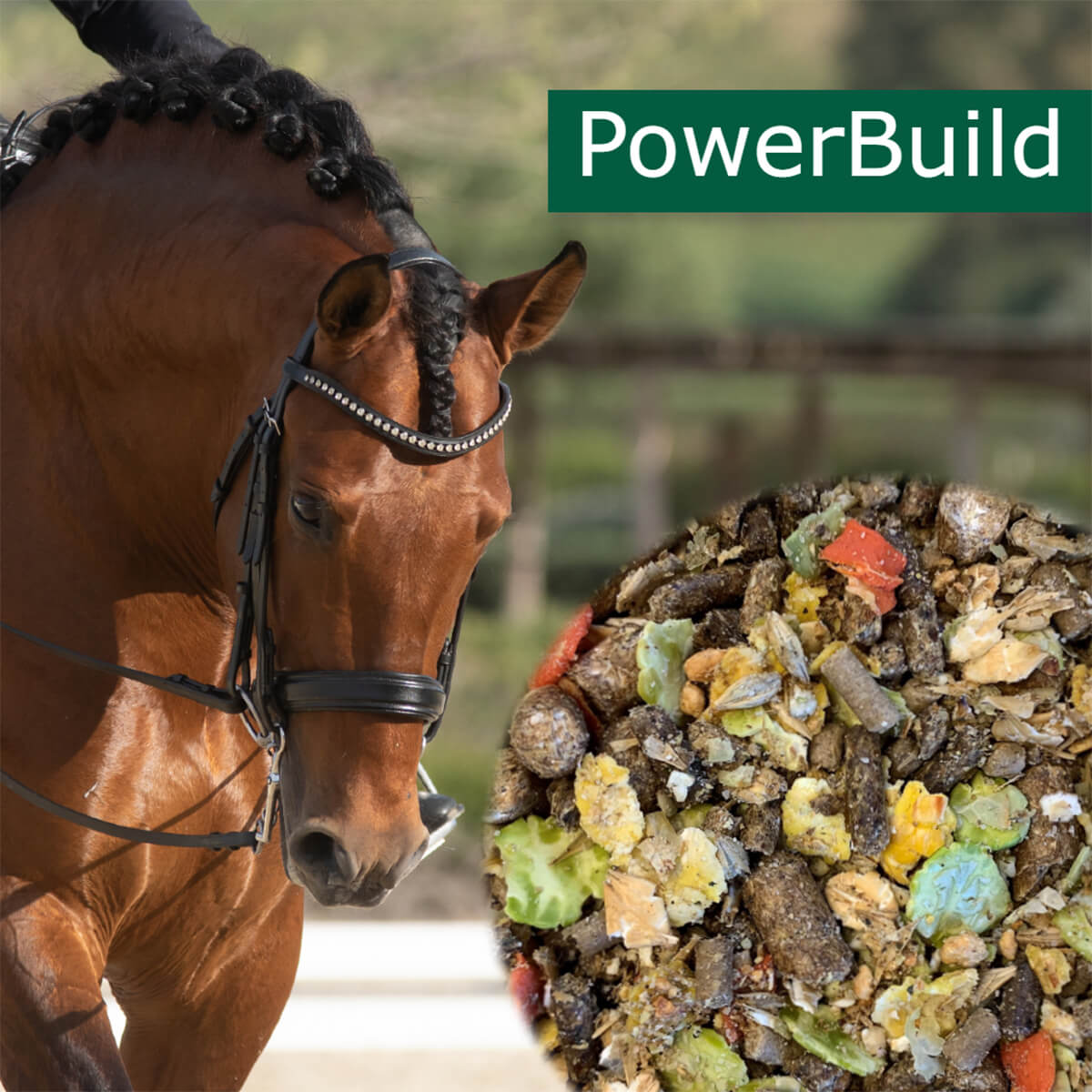 horsepro PowerBuild 1223269 01