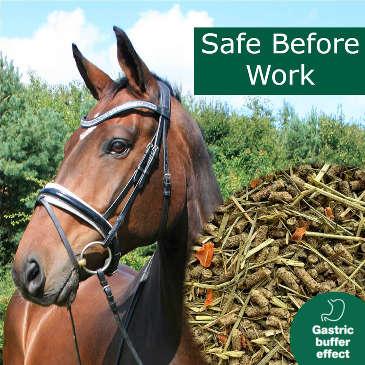 horsepro Safe Before Work 1223296 01