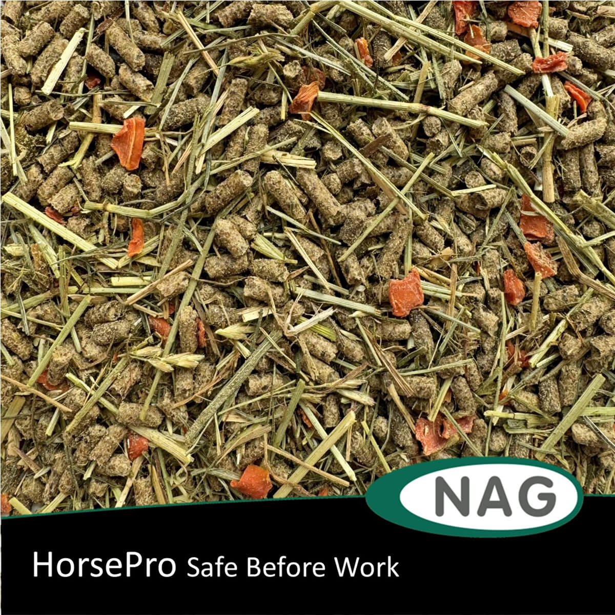 horsepro Safe Before Work 1223296 01