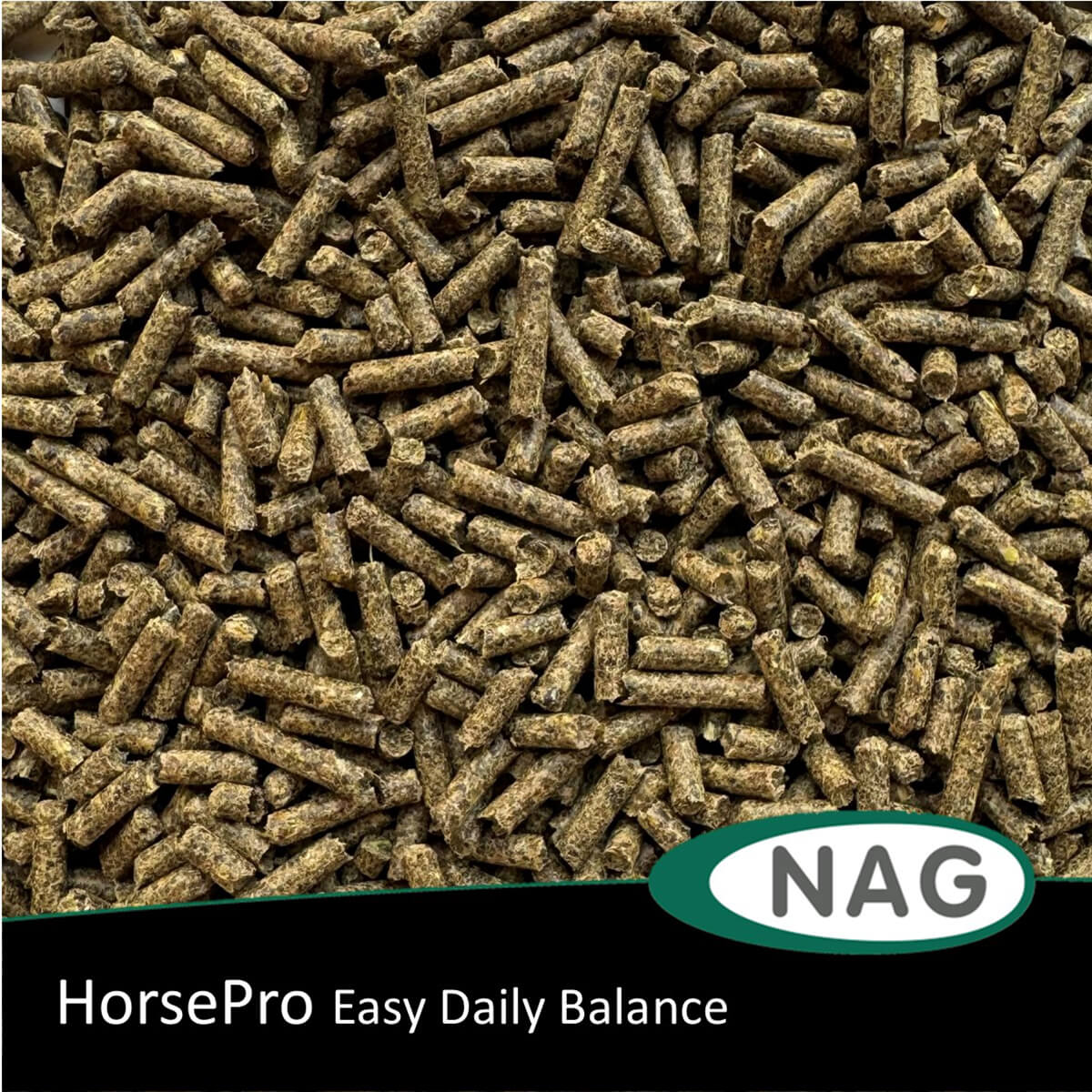 horsepro Easy Daily Balancer 01