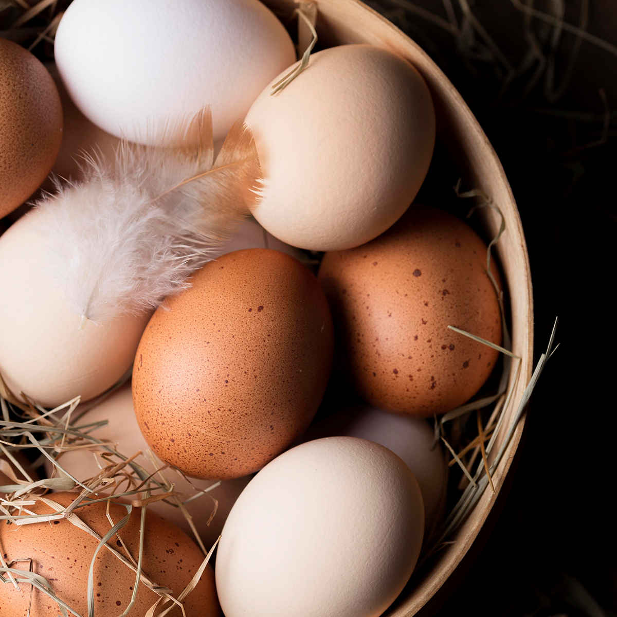 Mollerup Moelle foder til aeglaeggende hoens 01