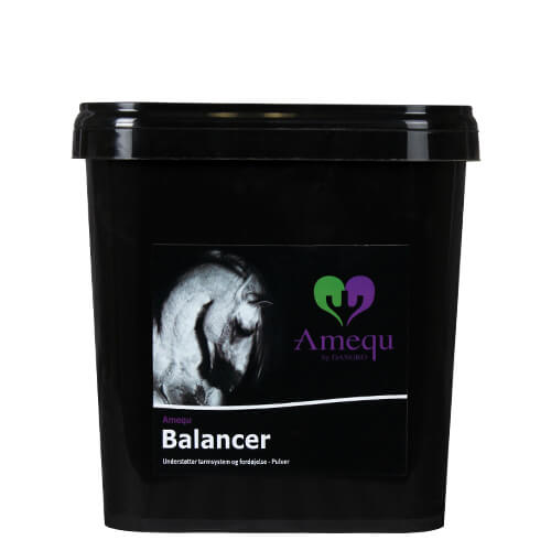 01 132300798 01 amequ balancer 3500g