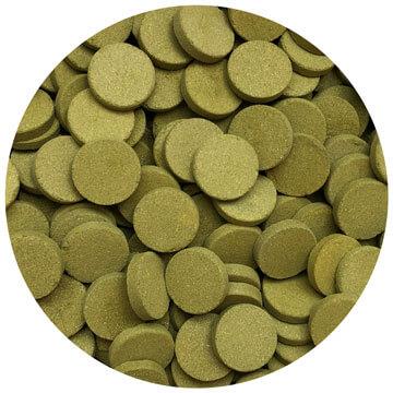 01 132301234 01 Nordic Joint Power 900g