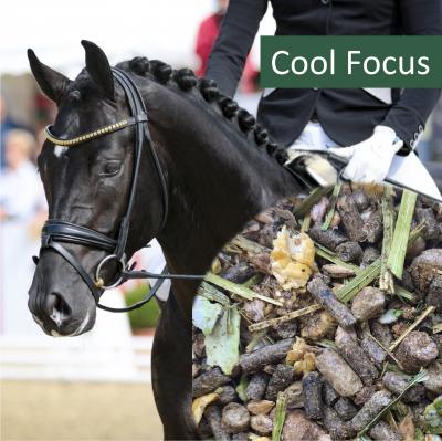 HorsePro Cool Focus 25kg
