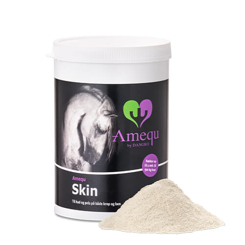 Amequ Skin 600g