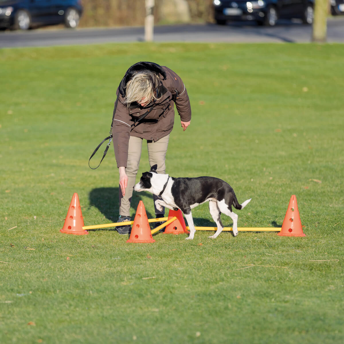 Agility kegler 01