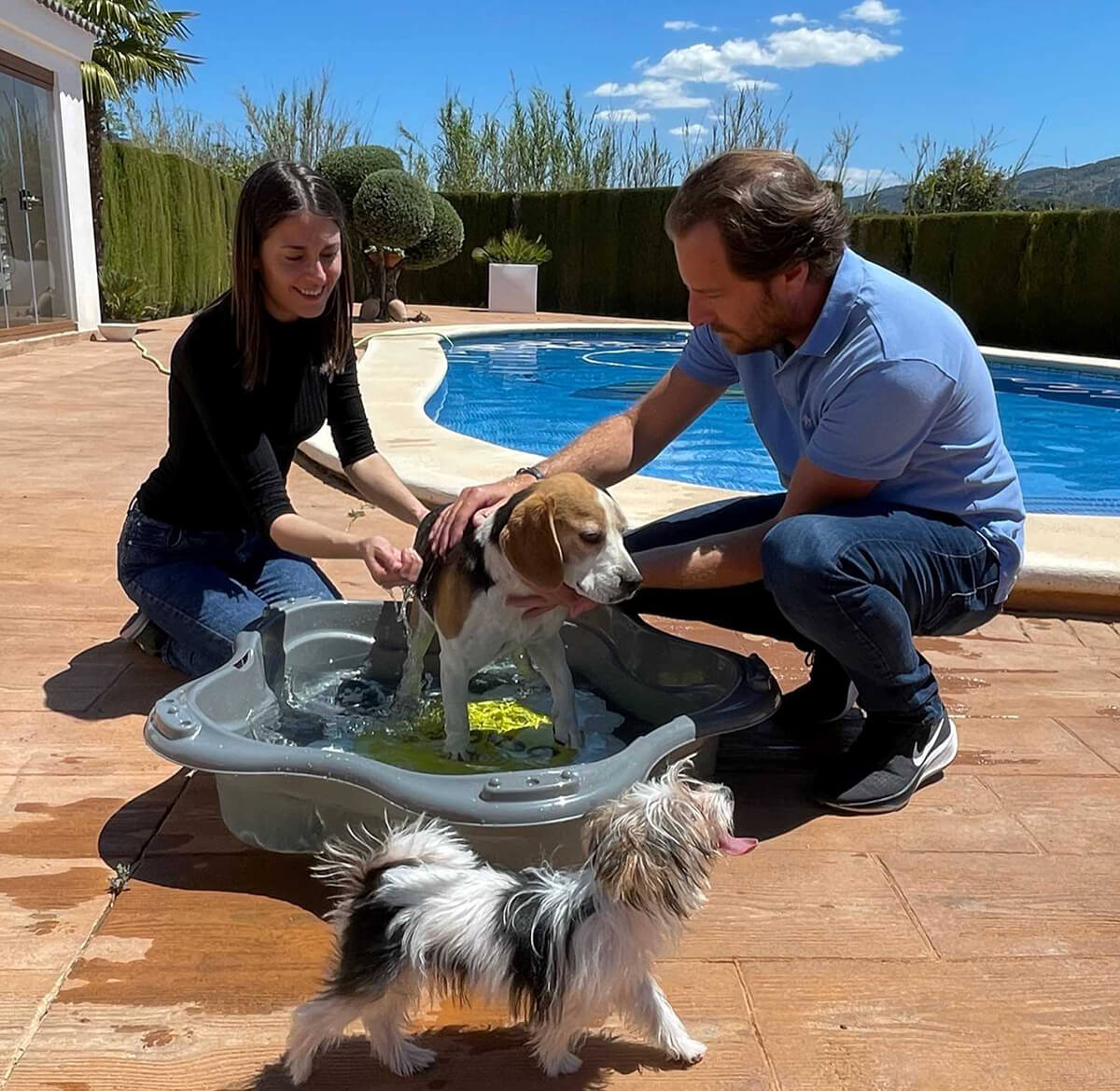 Pool til hund i haard plast Graa 15249834 01