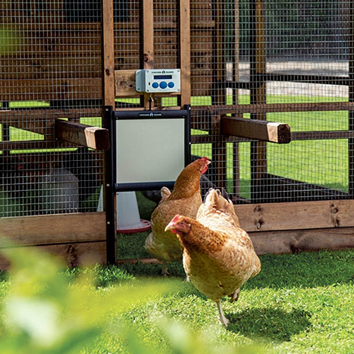 Chickenguard dør med lås t. hønselemsåbner