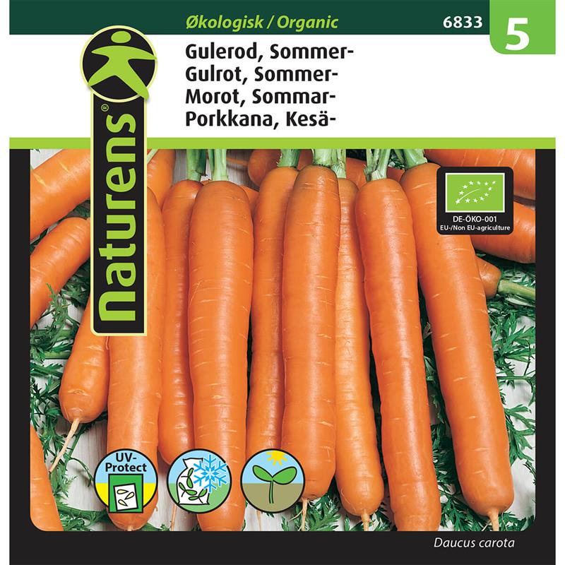 ØKO Sommer gulerod | Gr. 5