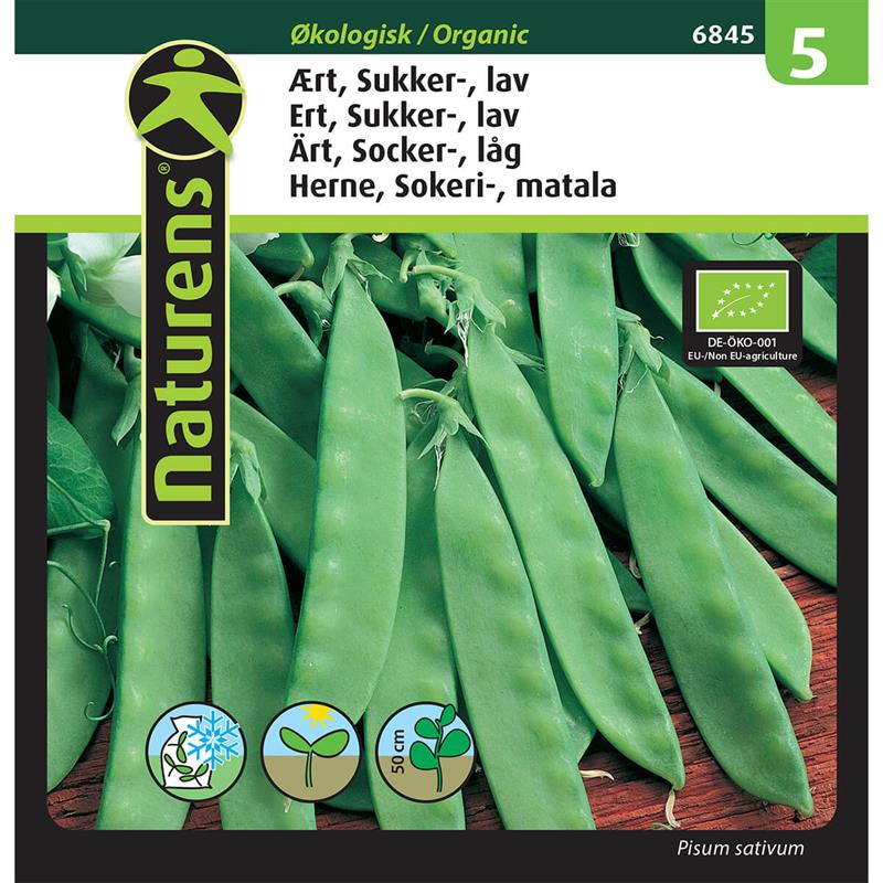 ØKO Ært lav sukkerært | Gr. 5