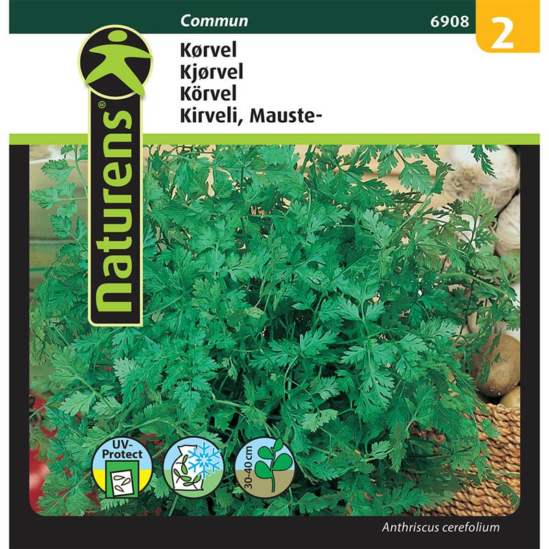 Kørvel | Gr. 2