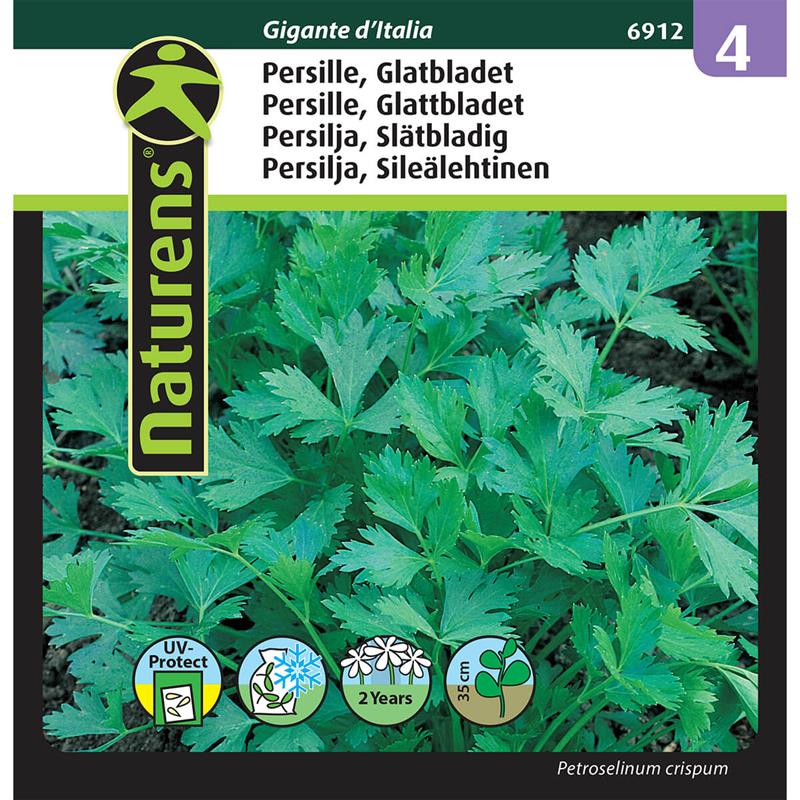 01 1916242 01 glatbladet persille froe 6912