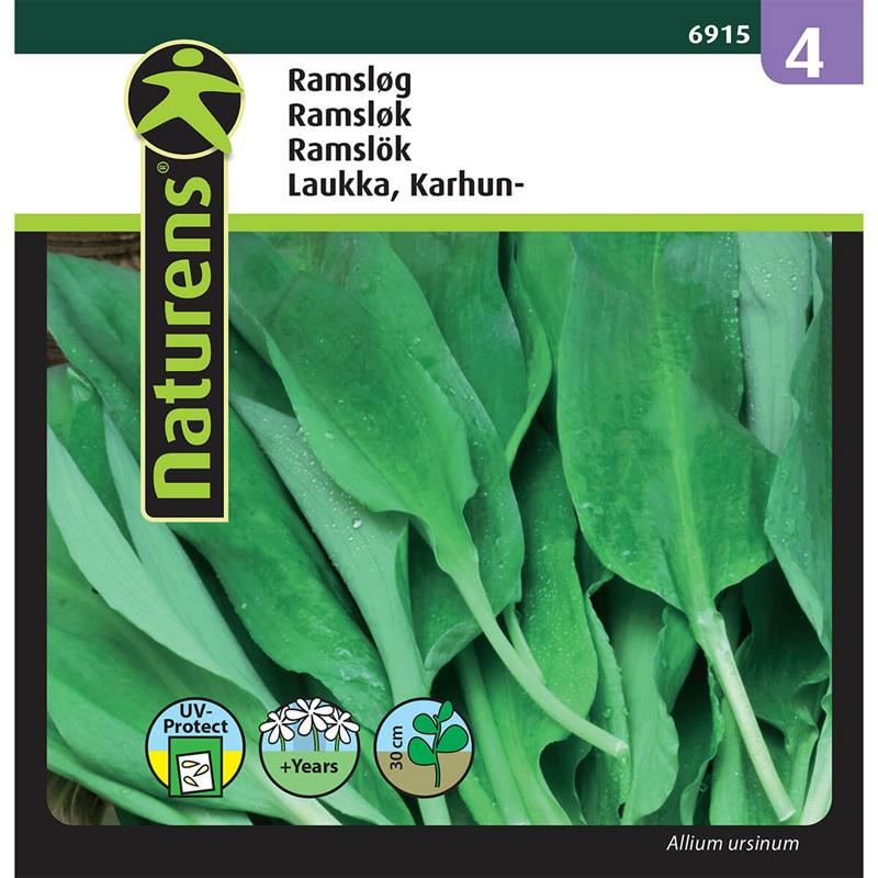 Ramsløg | Gr. 4