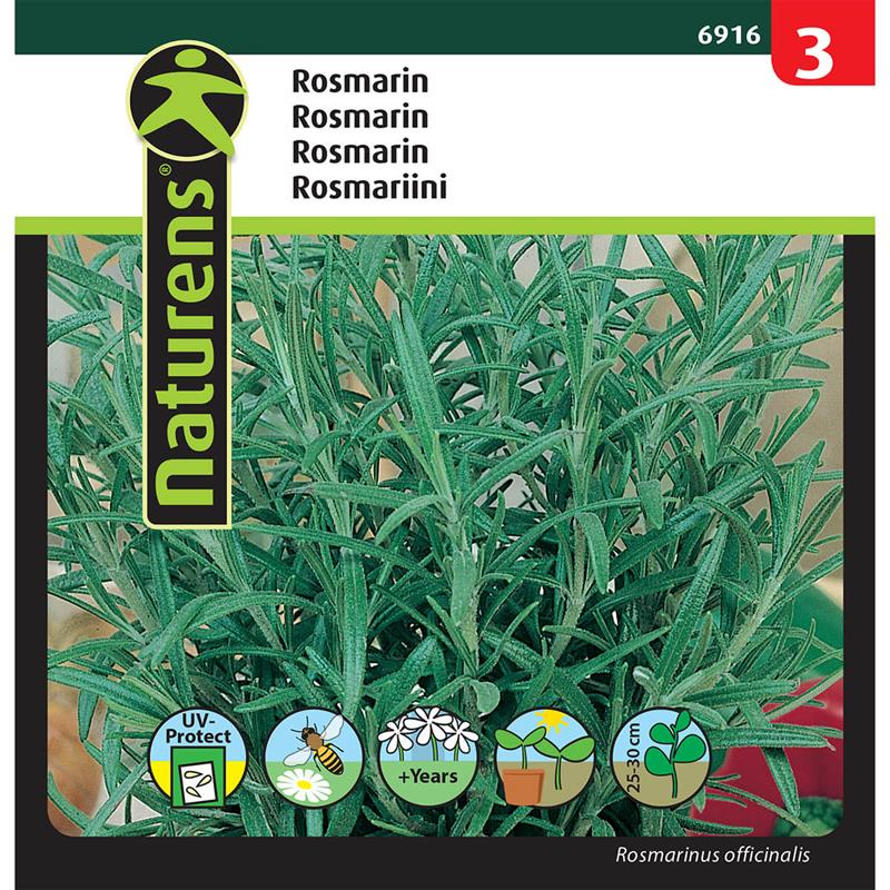Rosmarin | Gr. 3
