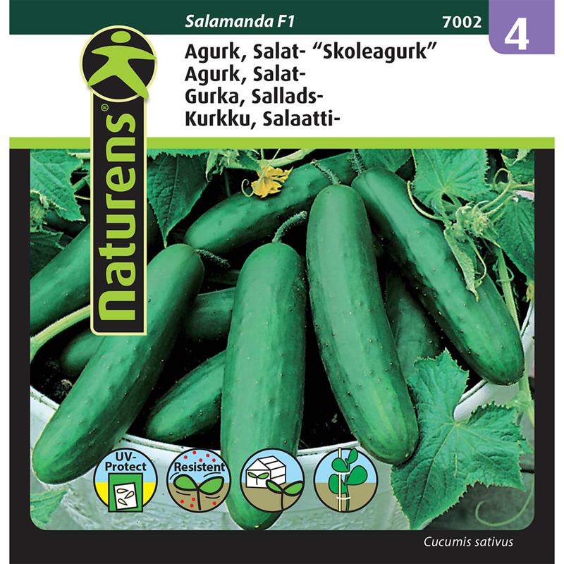 Agurk skoleagurk | Gr. 4