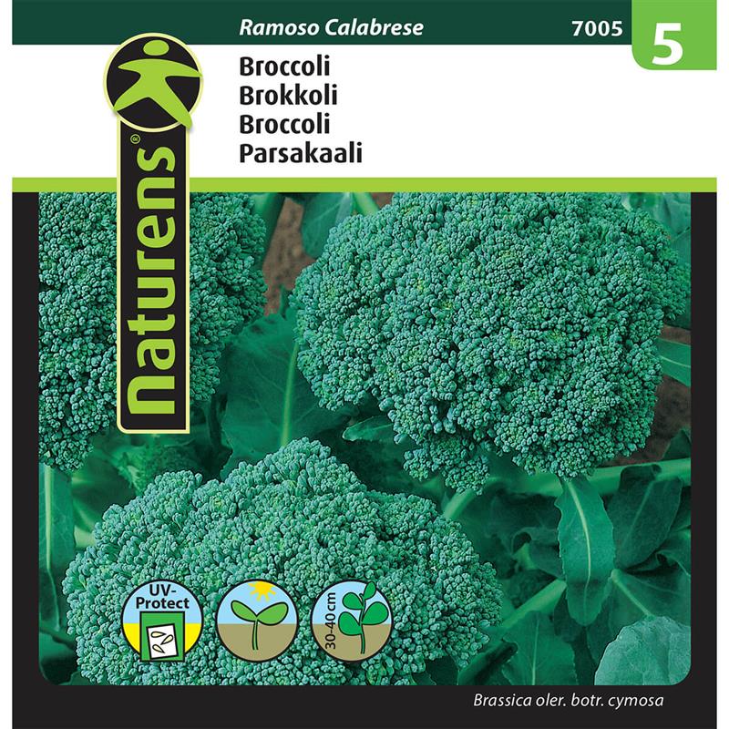 01 1916253 02 brocoli froe 7005