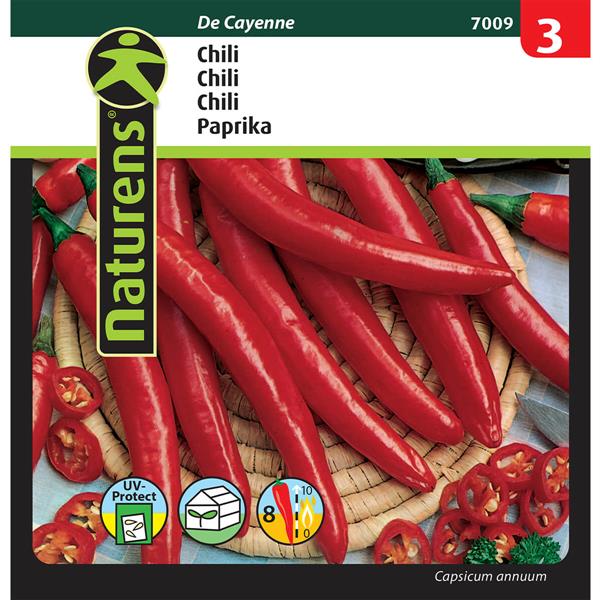Chili | Gr. 3