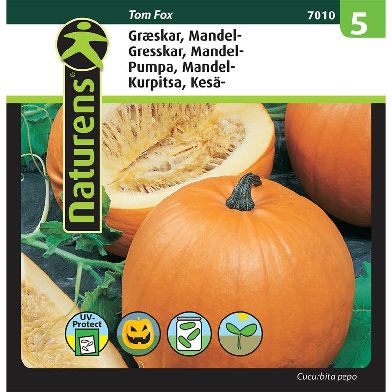 Græskar Mandelgræskar | Gr. 5