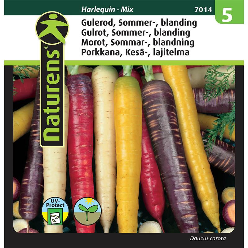 01 1916262 01 sommergulerod mix froe 7014
