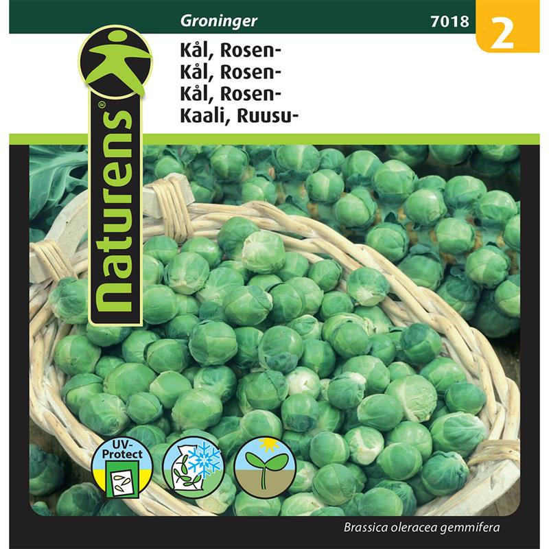 Rosenkål | Gr. 2
