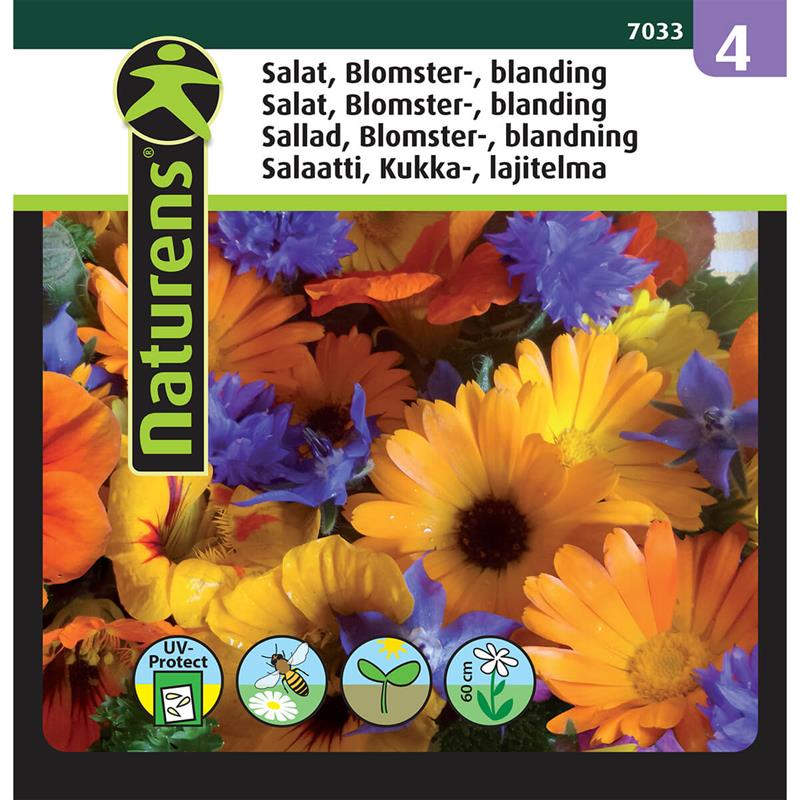 01 1916279 01 blomstersalat froe 7033