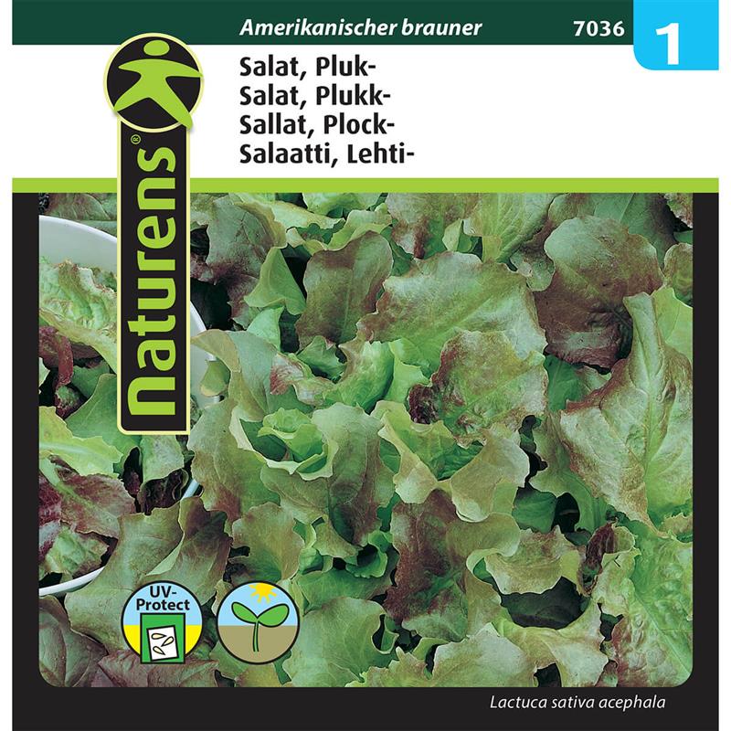 Pluksalat | Gr. 1