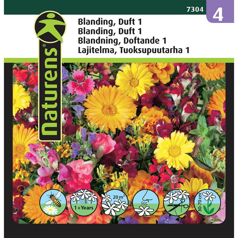 Duftblanding | Gr. 4