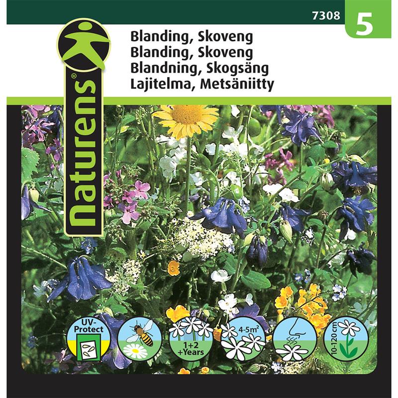 Skoveng blanding | Gr. 5
