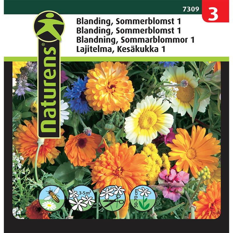 Sommerblomst blanding | Gr. 3