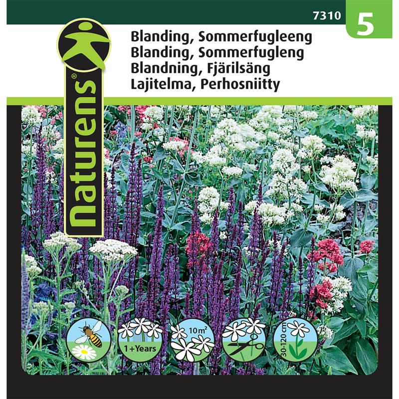 Sommerfugle blanding | Gr. 5