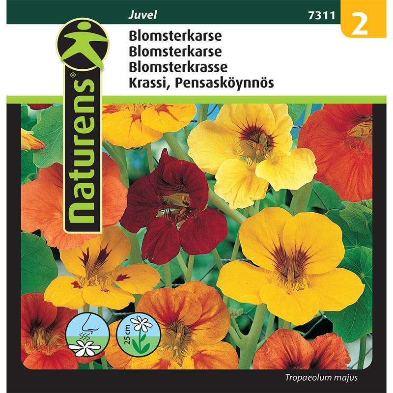 Blomsterkarse blanding | Gr. 2