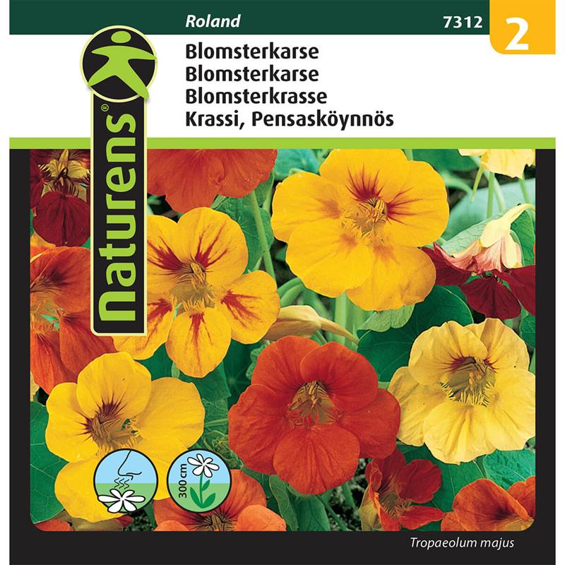 Blomsterkarse blanding | Gr. 2