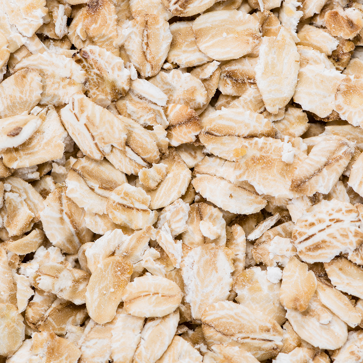 Dyrefoder Mollerup Moelle