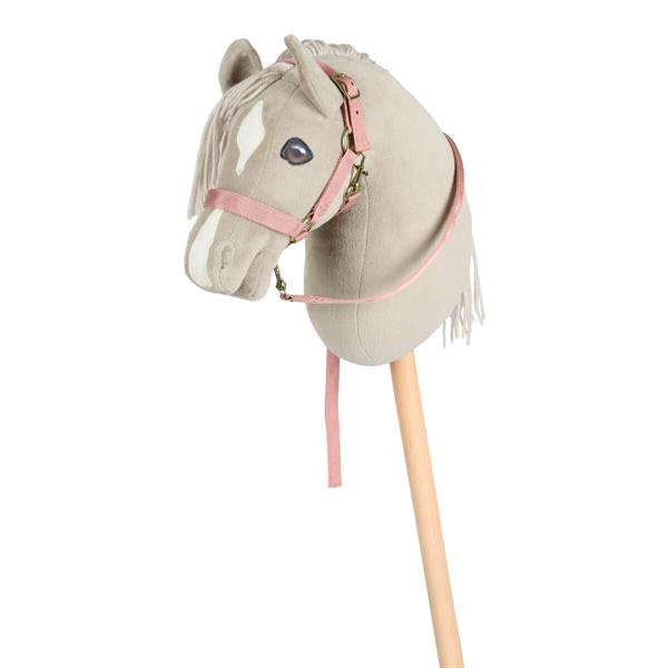 01 26100029 01 Cheval Roi Diva Kaephest
