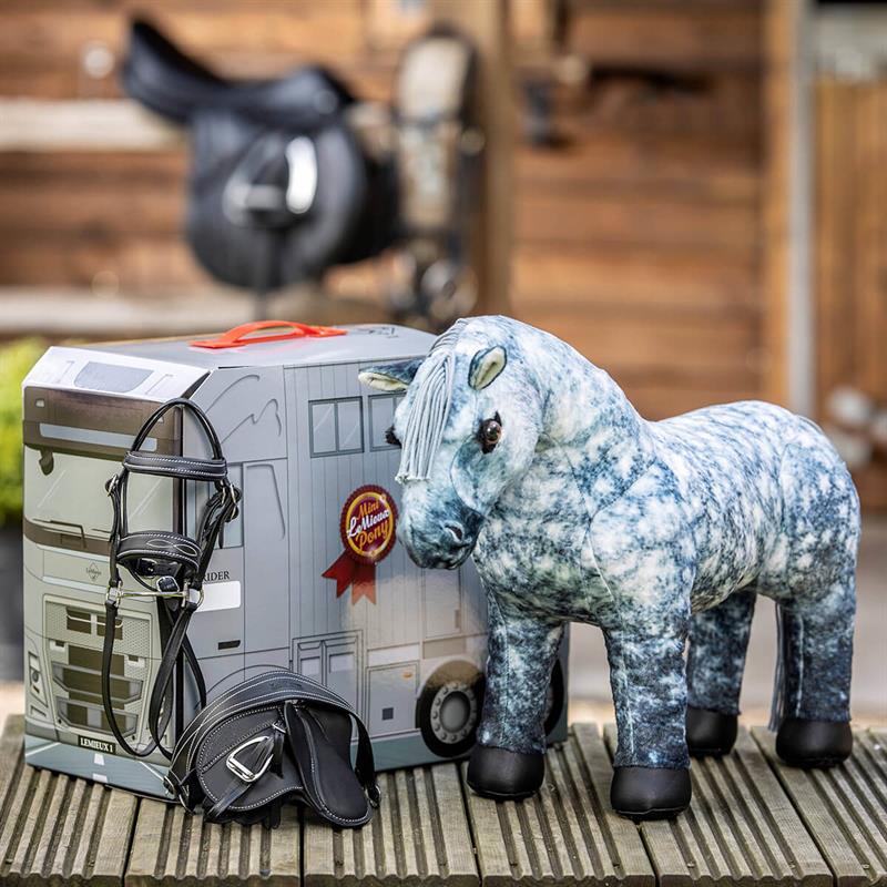 01 26100043 01 lemieux sadel sort mini pony