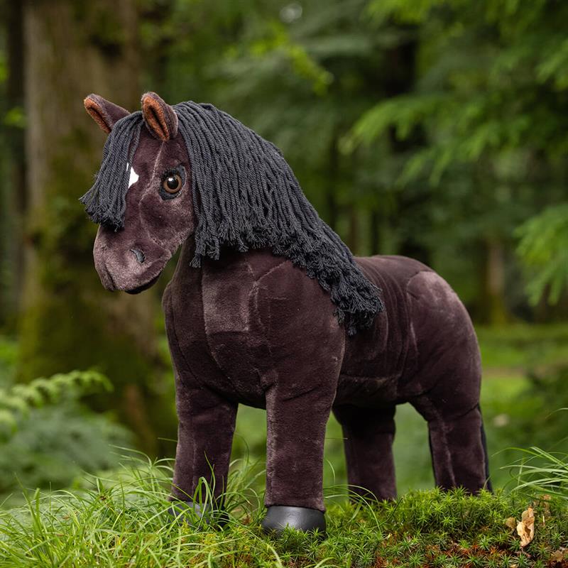 01 26100051 01 lemieux freya pony