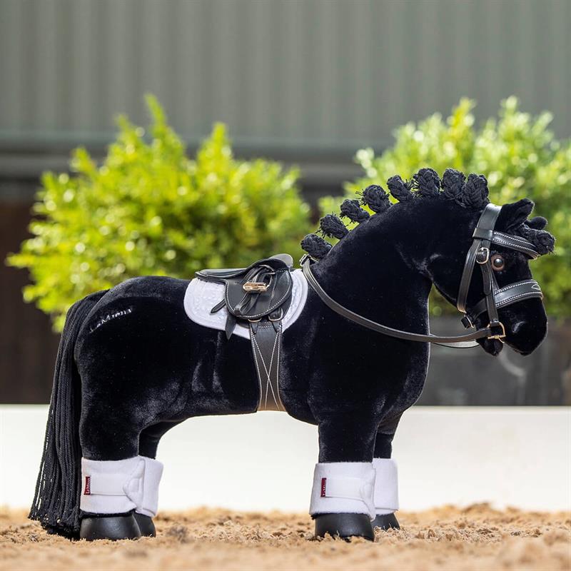 01 26100052 01 lemieux skye mini pony