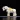 k19209182 01 lemieux unicorn shimmer mini pony