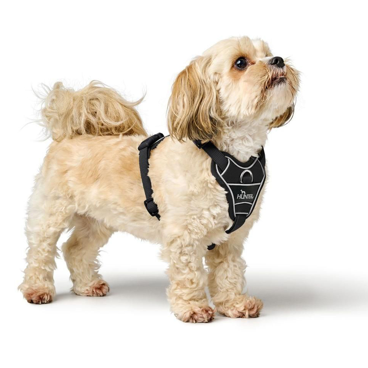 Hunter Divo hundesele sort 01