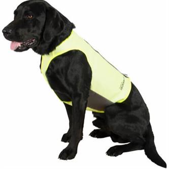 Eukanuba Jagtvest t. hund | Gul