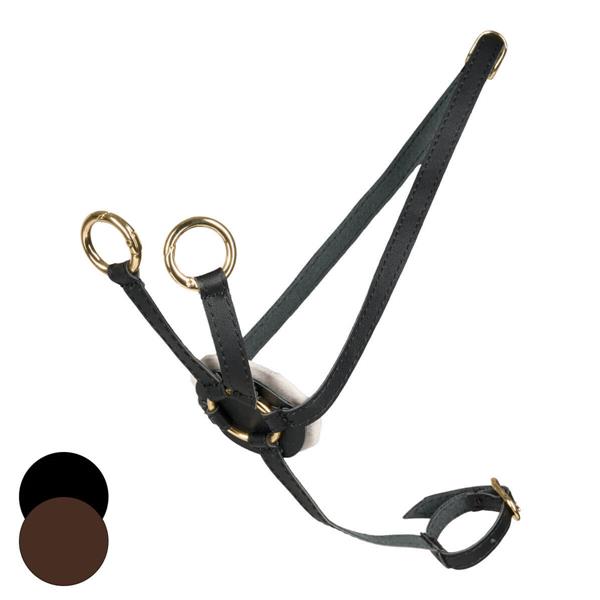Cheval Roi Martingal