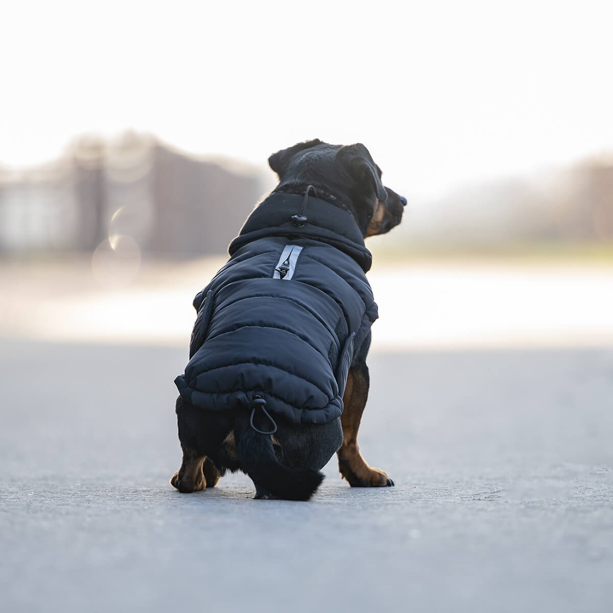 CATAGO FIR Tech puffer hundedaekken Sort V 300132501 01